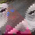 Wanie Hassan profile icon