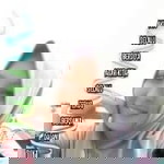 LuLu Irta Itha profile icon