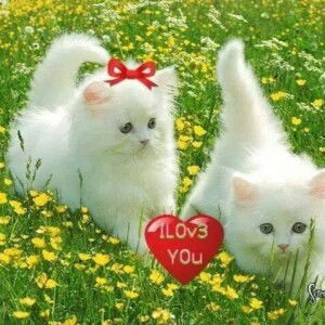 indah wahyuni profile icon