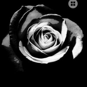 Min Y Jlador profile icon