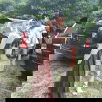 Erma Wati profile icon