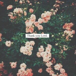 Khaye Corbadura profile icon