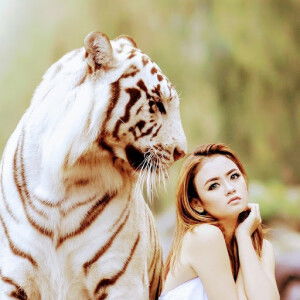 Nando Nando profile icon