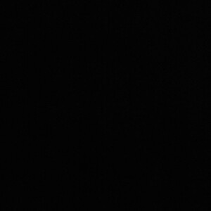 Nina Salvan profile icon