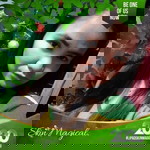 Jhoyce De Asis Antaran profile icon