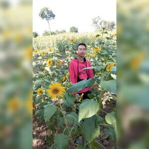 วิทยา สุทธวงค์ profile icon