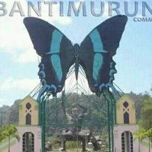 Kamsiaregina Putry profile icon