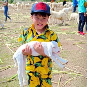 Trang Pham profile icon