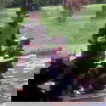 Dai Mamang profile icon