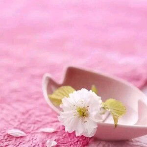 Ani Ummu Usamah profile icon