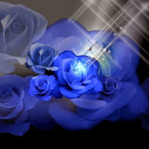 trieu lethuy profile icon