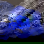 trieu lethuy profile icon