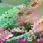 She La Laila profile icon