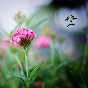 สาย ฝน profile icon