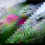 สาย ฝน profile icon