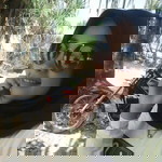 Shyffa Ayunda Praja profile icon