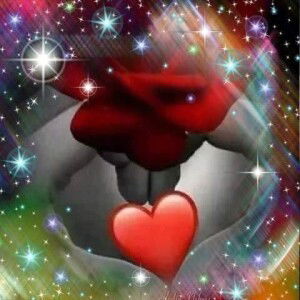 Sharif Sharif profile icon