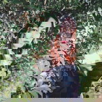 Suda Sukjai profile icon