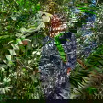 Nur Hardiyanti profile icon