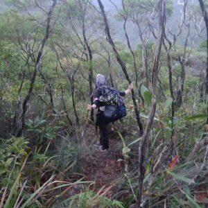 Nor Hamiedah Kha profile icon