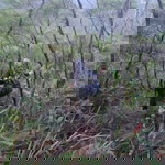 Nor Hamiedah Kha profile icon