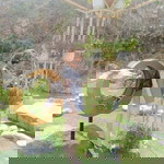 Diễm Trang profile icon