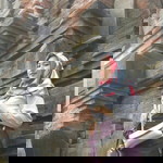 Febriani Sarawati profile icon