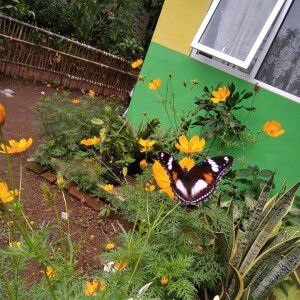 Indri Al Muhsin profile icon