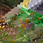 Indri Al Muhsin profile icon