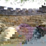 A' Project profile icon