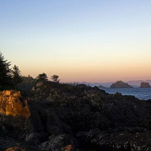 novi asih profile icon