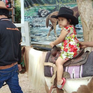 Toffy Lamon profile icon