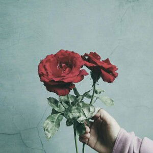 Tenia Dewi profile icon