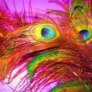 buvana 91 profile icon