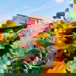 Aiza Caren Romero - Virtusio profile icon