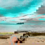 ジェドウィナベロ リーガン profile icon