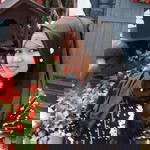 Sri Sulastri profile icon