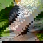 YM Bang profile icon