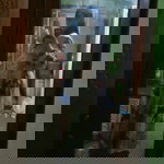 Wiwid Widia profile icon