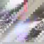 Haii Rina profile icon