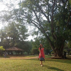 Traemiq Ilyfelt profile icon