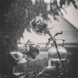 Nkholifah profile icon