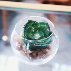 Nur Rohimah profile icon