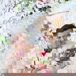 Vicky Venus profile icon