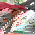 Ummu Hawwa profile icon