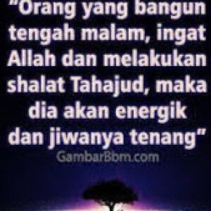 siti patonah profile icon