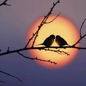 Thanh Huyền profile icon