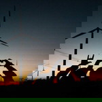 Firdaw Pohloh profile icon