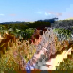 Kewalin Kaewsakul profile icon