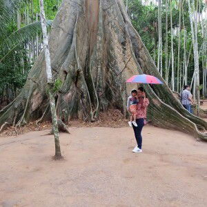 YS Suphansa profile icon